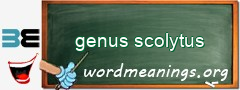 WordMeaning blackboard for genus scolytus